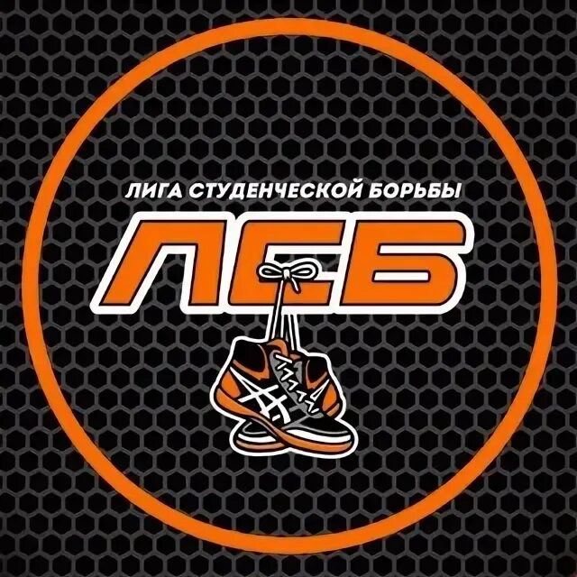Лига студенческой борьбы